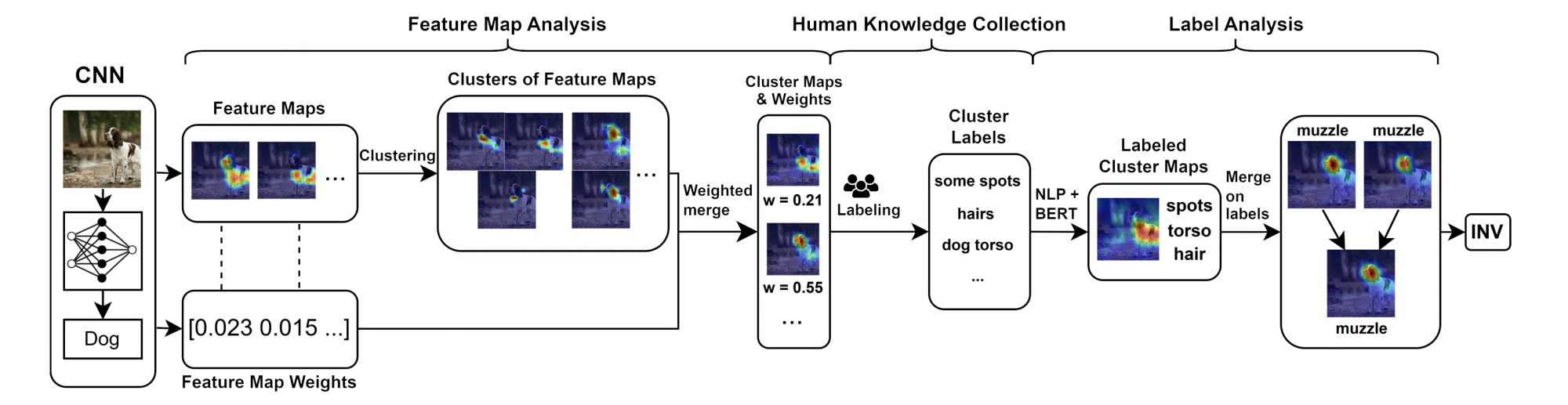 Model Explainability Visualization For Cnn Interpretable Network Visualizations: A Human-in-the-Loop Approach for ...